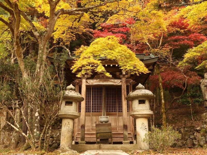 הימאג'י Yumoto Ueyama Ryokan מראה חיצוני תמונה
