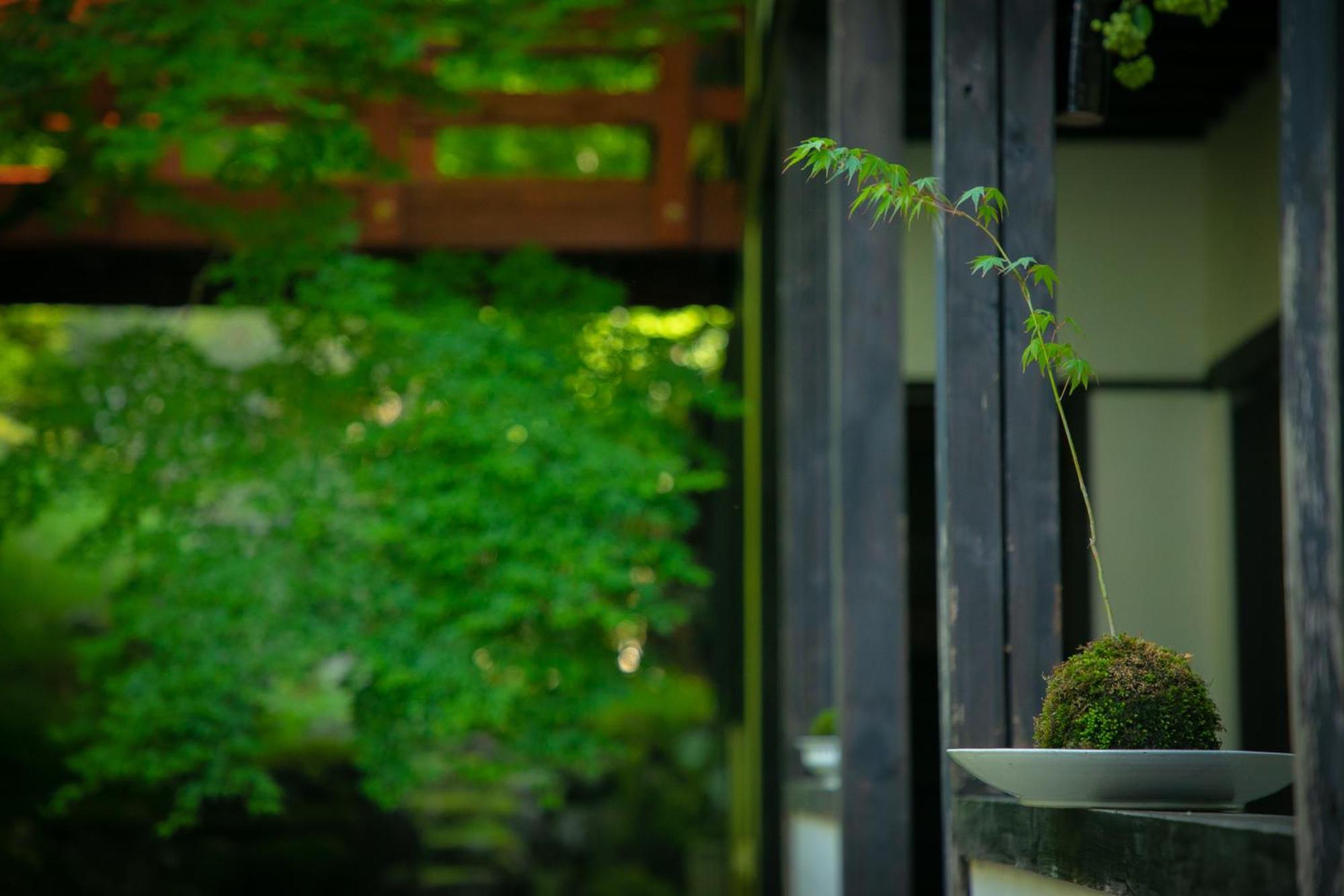 הימאג'י Yumoto Ueyama Ryokan מראה חיצוני תמונה